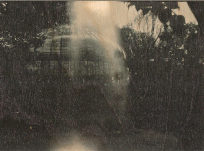 Fotoserie (2024, Parijs/Brussel).
Direct UV-geprint op 19 mm berkenmultiplex.
De houtnerf blijft zichtbaar en maakt iedere afdruk uniek.
Gefotografeerd met een antiek bakelieten Baby Brownie Special op Rera Pan 100S (ISO 127 rolfilm)