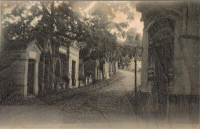 Fotoserie (2024, Parijs/Brussel).
Direct UV-geprint op 19 mm berkenmultiplex.
De houtnerf blijft zichtbaar en maakt iedere afdruk uniek.
Gefotografeerd met een antiek bakelieten Baby Brownie Special op Rera Pan 100S (ISO 127 rolfilm)