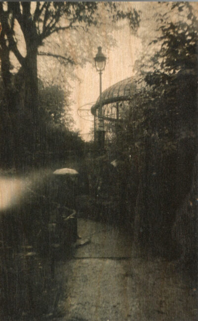 Fotoserie (2024, Parijs/Brussel).
Direct UV-geprint op 19 mm berkenmultiplex.
De houtnerf blijft zichtbaar en maakt iedere afdruk uniek.
Gefotografeerd met een antiek bakelieten Baby Brownie Special op Rera Pan 100S (ISO 127 rolfilm)